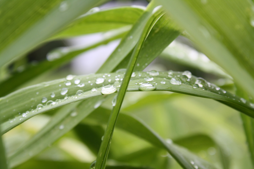 Education is Empowerment