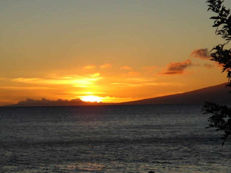 Methane Gas  Emissions