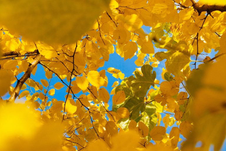 November