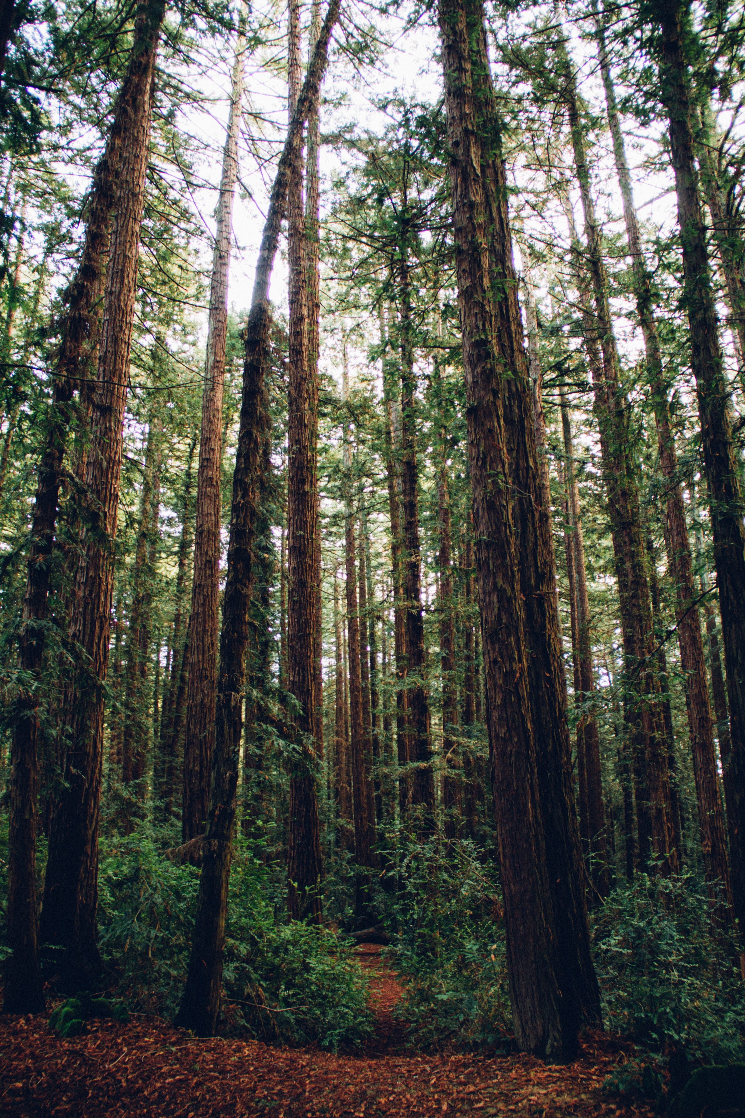 Sustainable Solutions for All of Us
