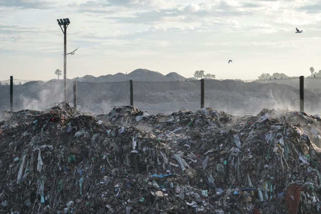 Mango Materials Transforms Methane to Biopolymer